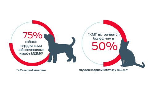 Инфографика