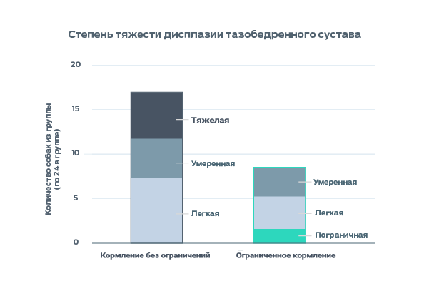 Инфографика