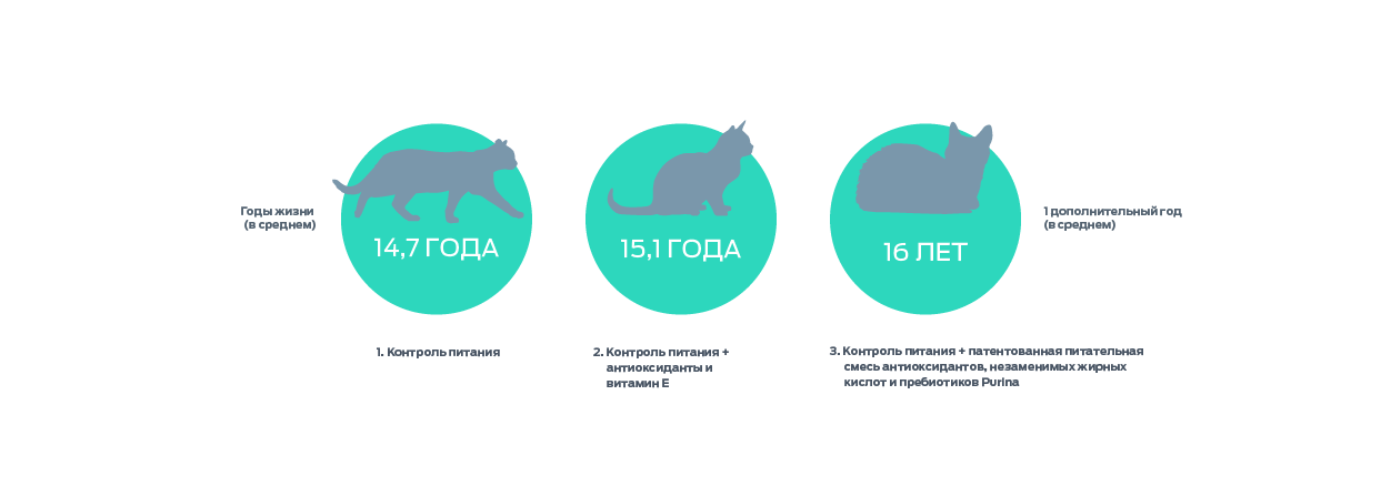 Инфографика