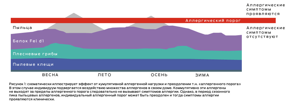 The-Allergic-Burden_Allergic-Threashold-Graphic_RUS-01.jpg 