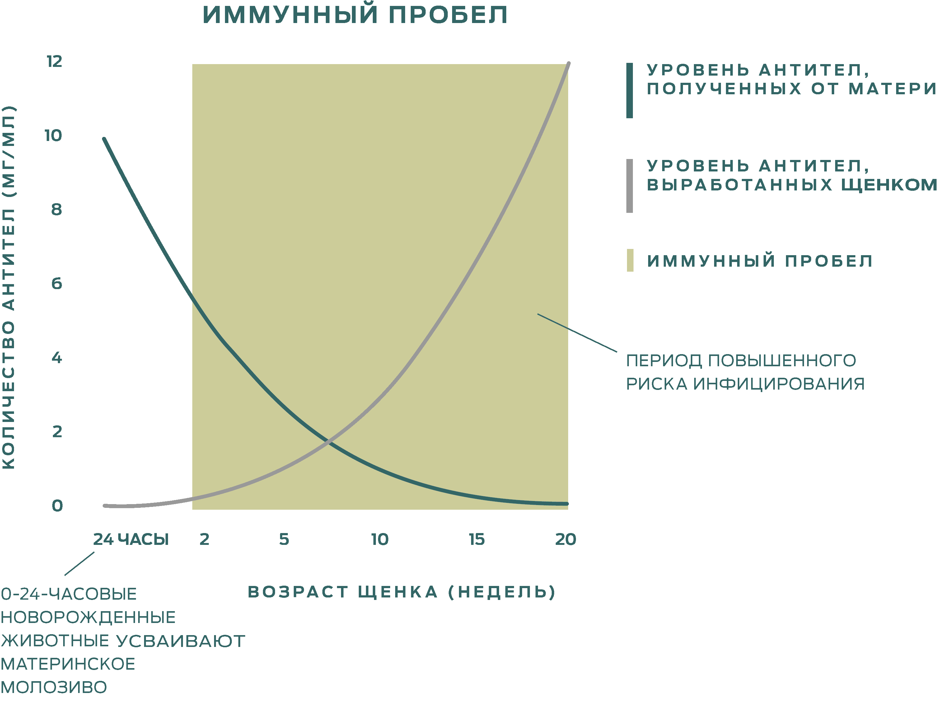 immunity-gap