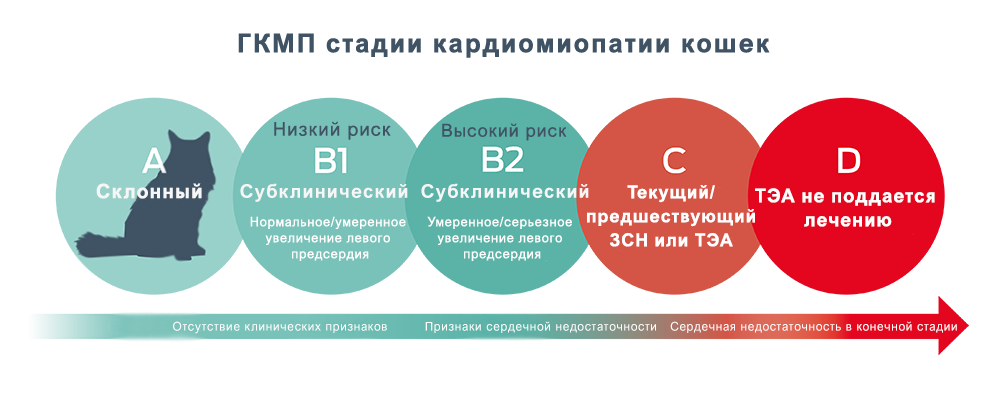 Инфографика