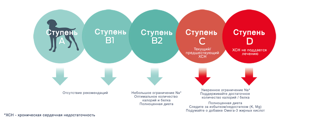 Инфографика