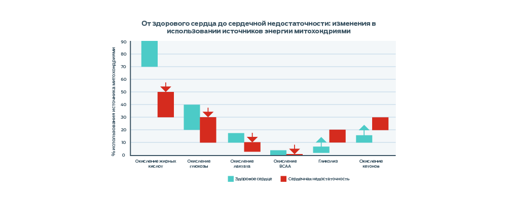 Инфографика