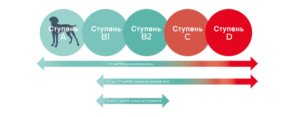 Инфографика