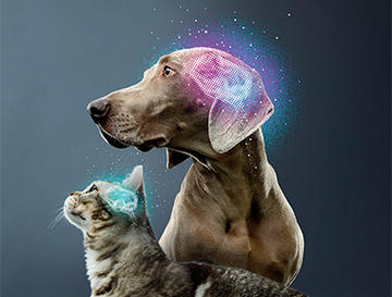 feeding-the-brain