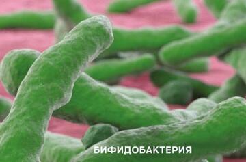 Metagenomics-Bifidobacterium