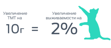 Инфографика