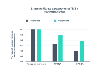 Инфографика