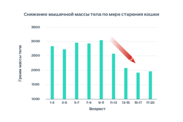 Инфографика