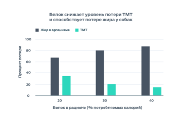 Инфографика