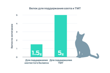 Инфографика