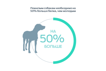 Инфографика