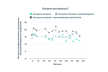 Инфографика