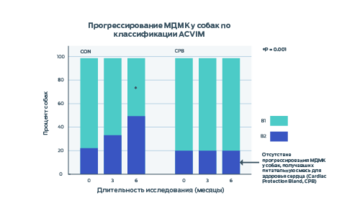 Инфографика